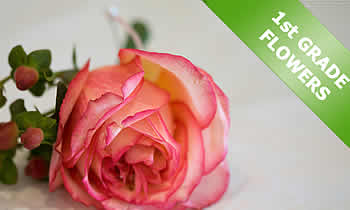 Lydenburg Florist